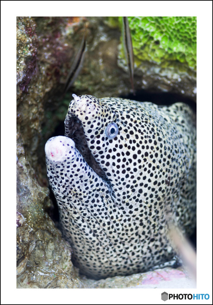 美らの海③