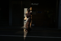 スナップ　街の光
