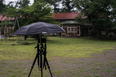 雨中の撮影