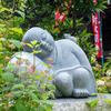 あじさい寺の居眠り