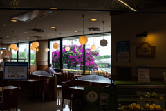 赤い花が迎えてくれます