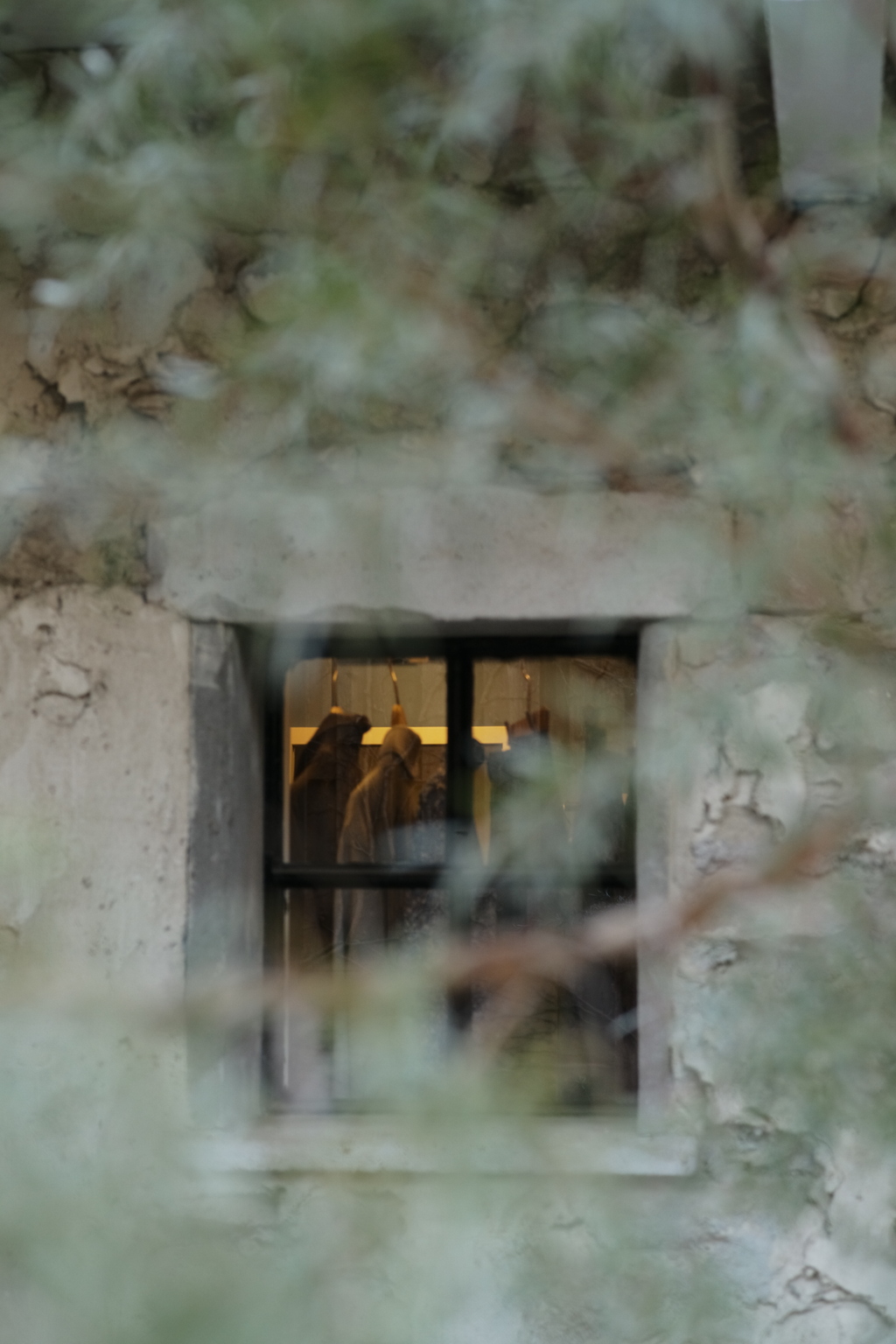 垣間(かいま)見る