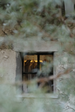 垣間(かいま)見る