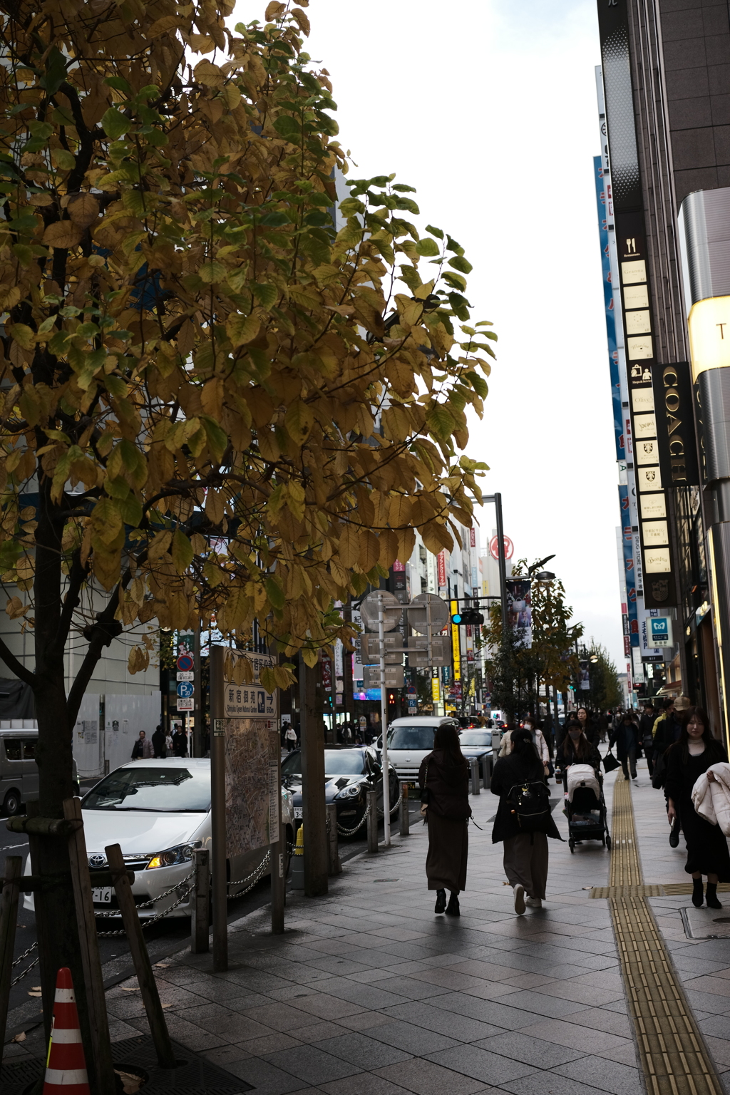 新宿散歩---師走を歩く