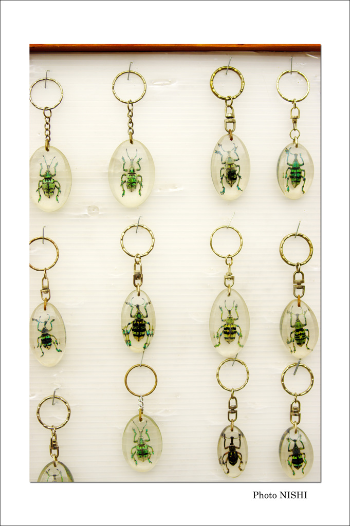 益子パターン（4）