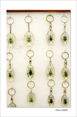 益子パターン（4）