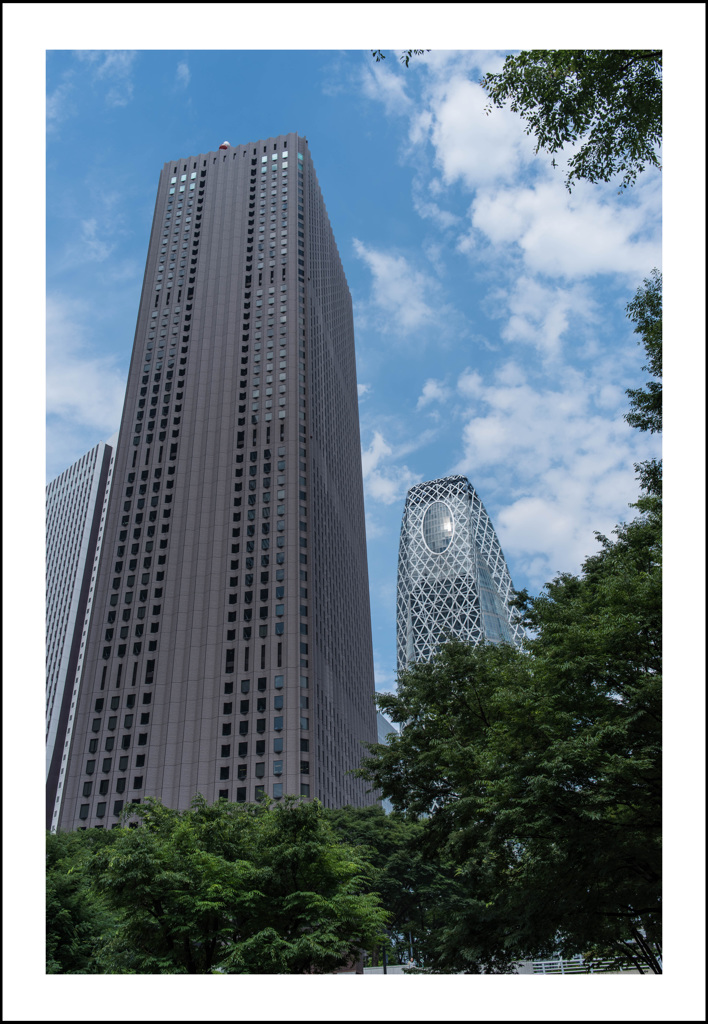 高層群　画角確認