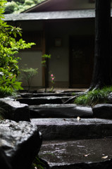 雨に濡れる