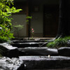 雨に濡れる