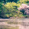 水面も春の散りくる花嵐