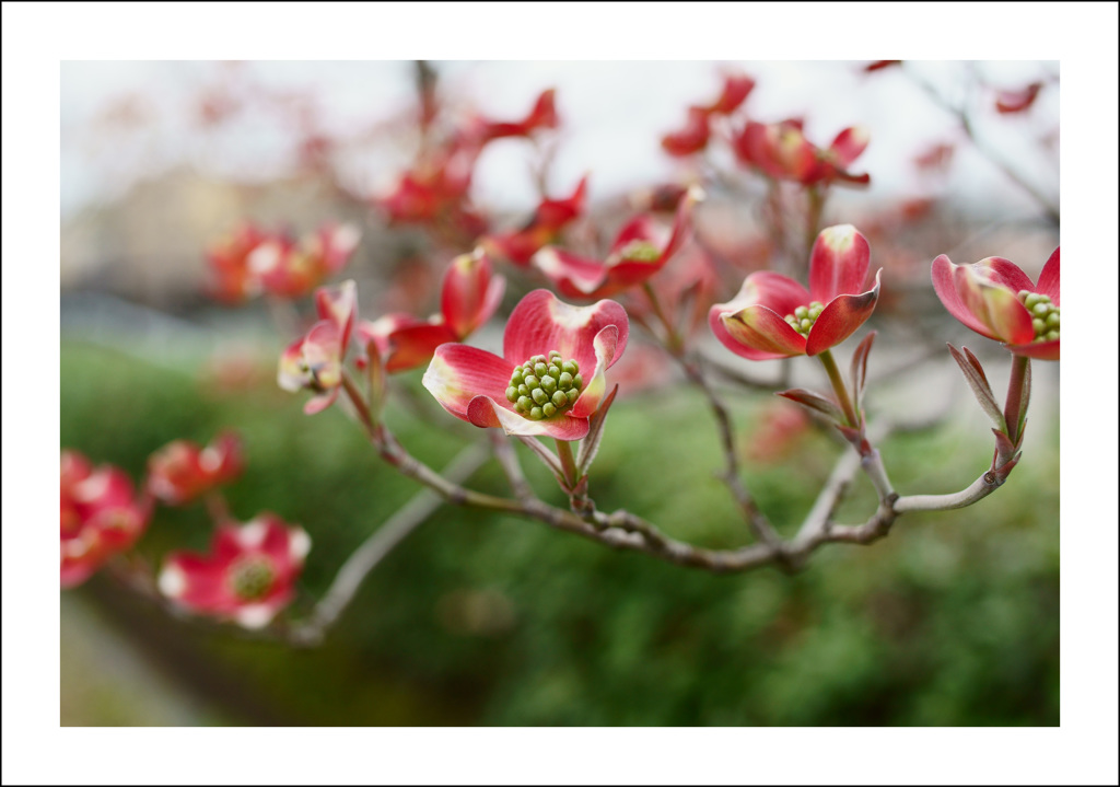 カメラと一緒ぷらり３