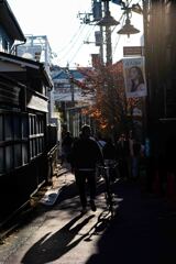 裏原宿の小道にも秋がある