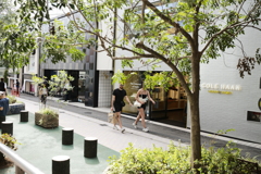 この頃は暑かった