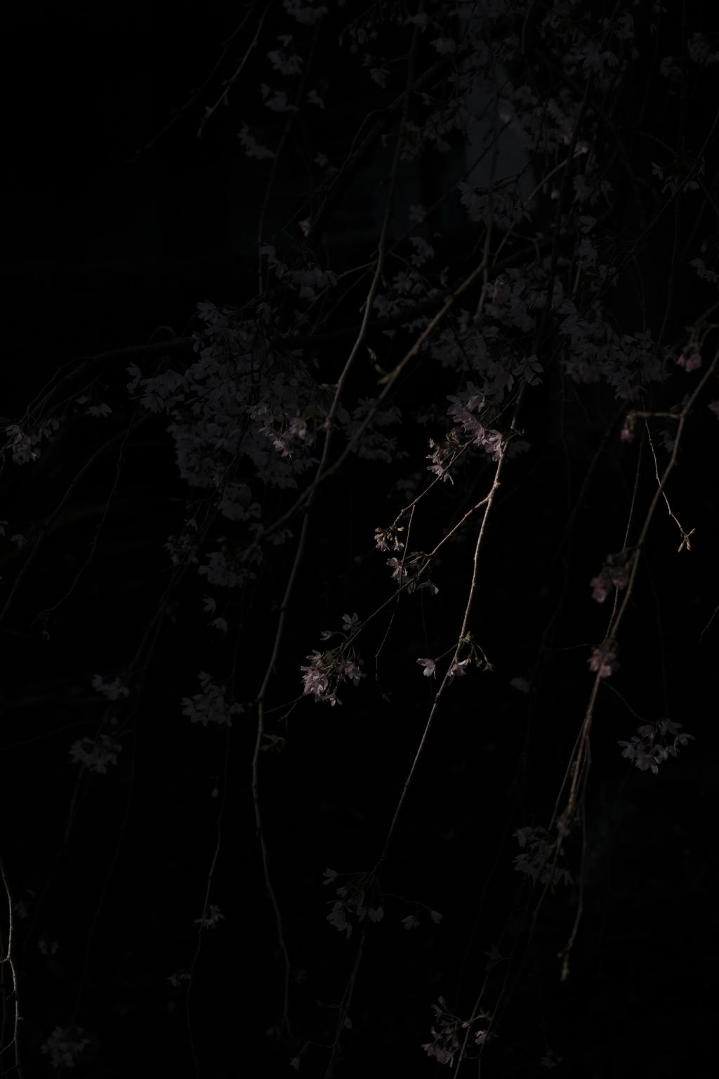 アンダーな世界