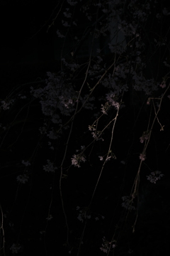 アンダーな世界