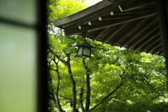 ホテルの部屋より②
