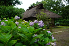 萱を飾る花
