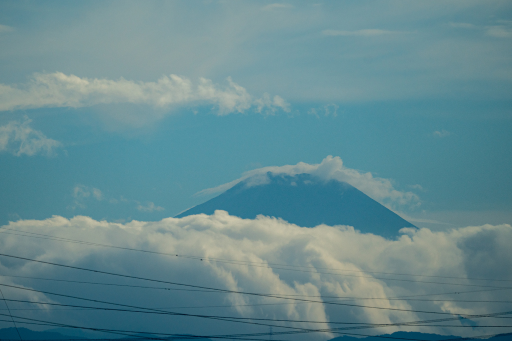 今日のお山