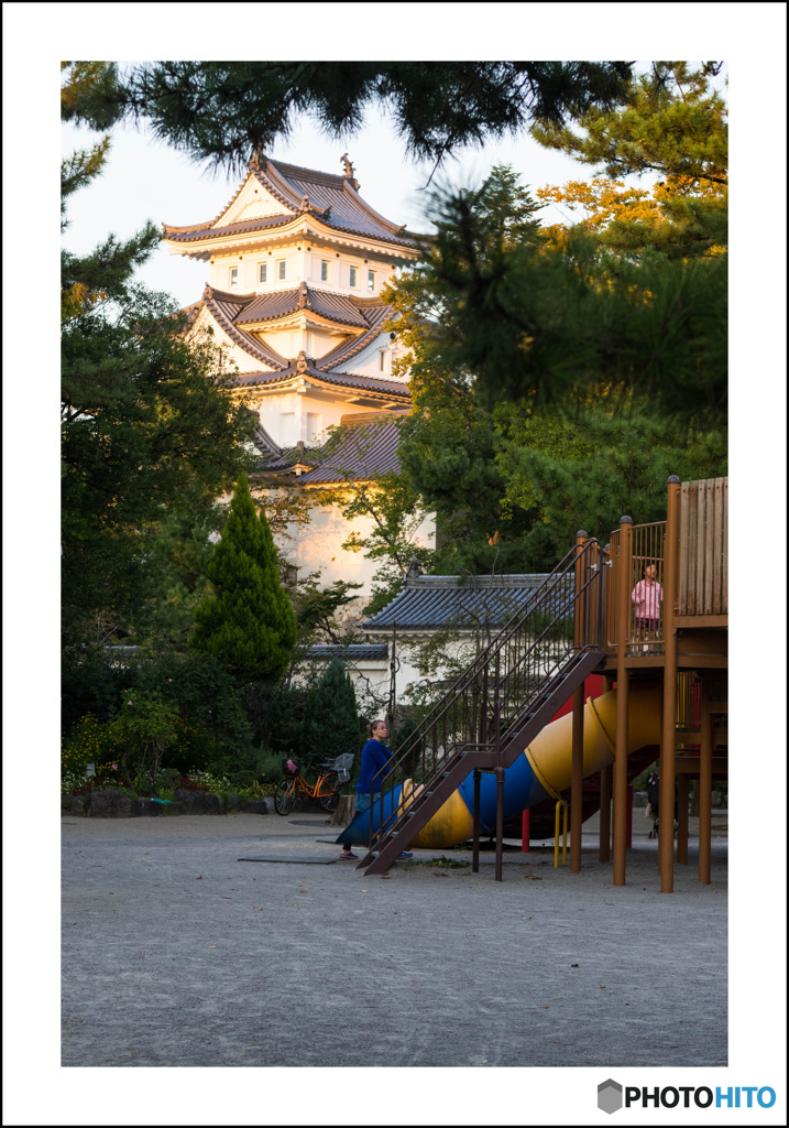 夕陽の天守閣