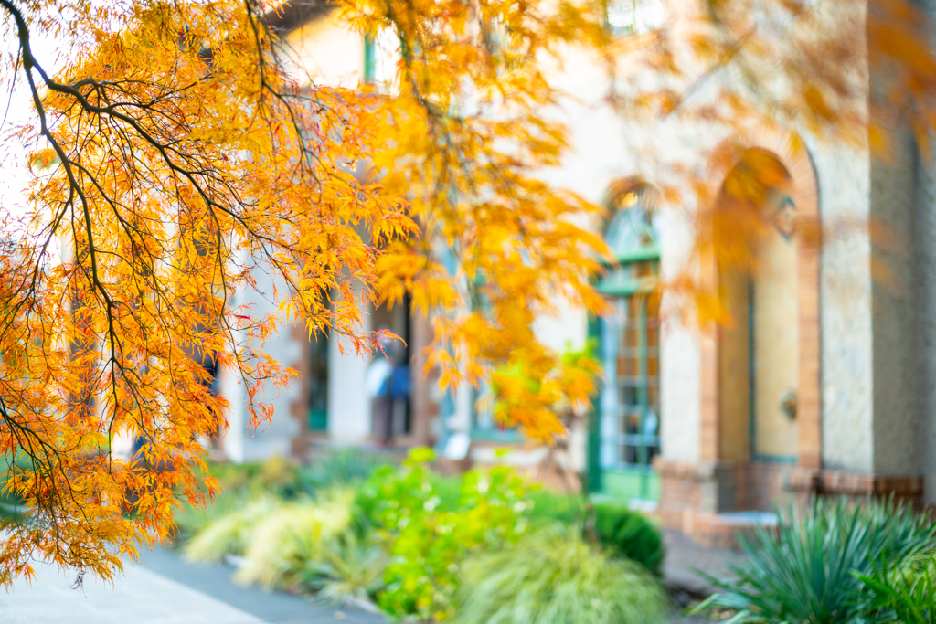 ベーリック・ホールを飾る