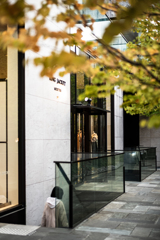 表参道も秋を迎えました 表参道も秋を迎えました