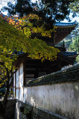 大照院