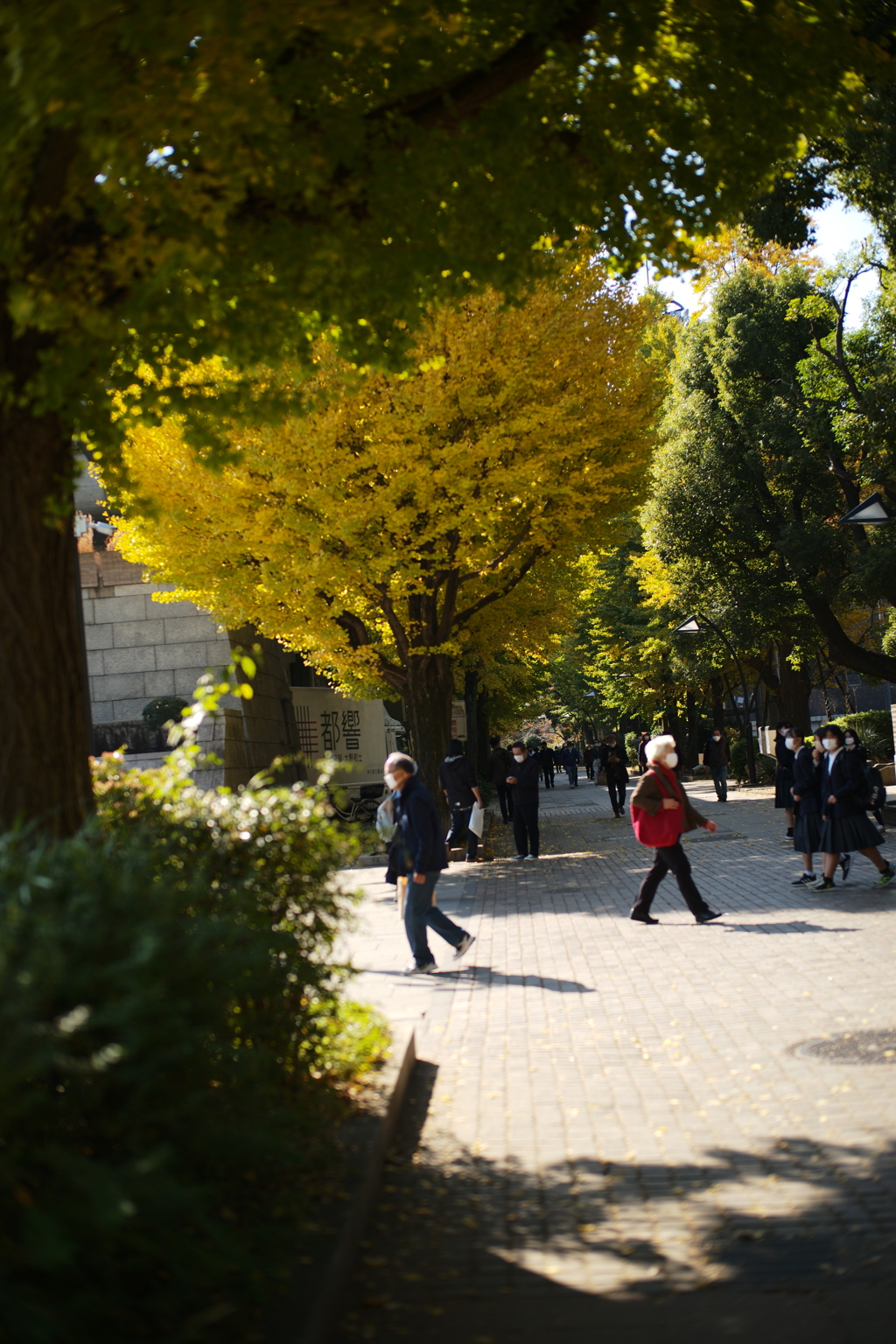 そろそろ上野公園