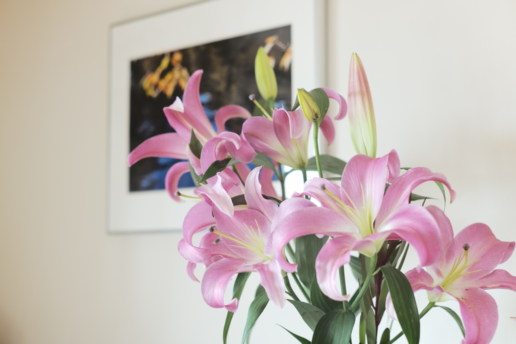 今日の1枚--ユリのある壁