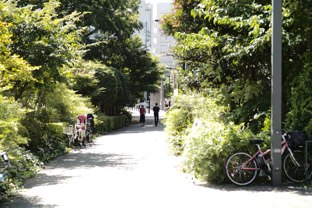 晩夏の日除け