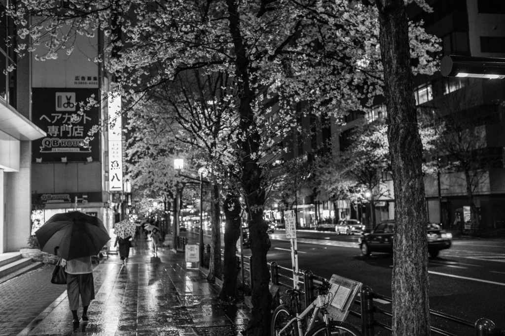 令和の桜雨