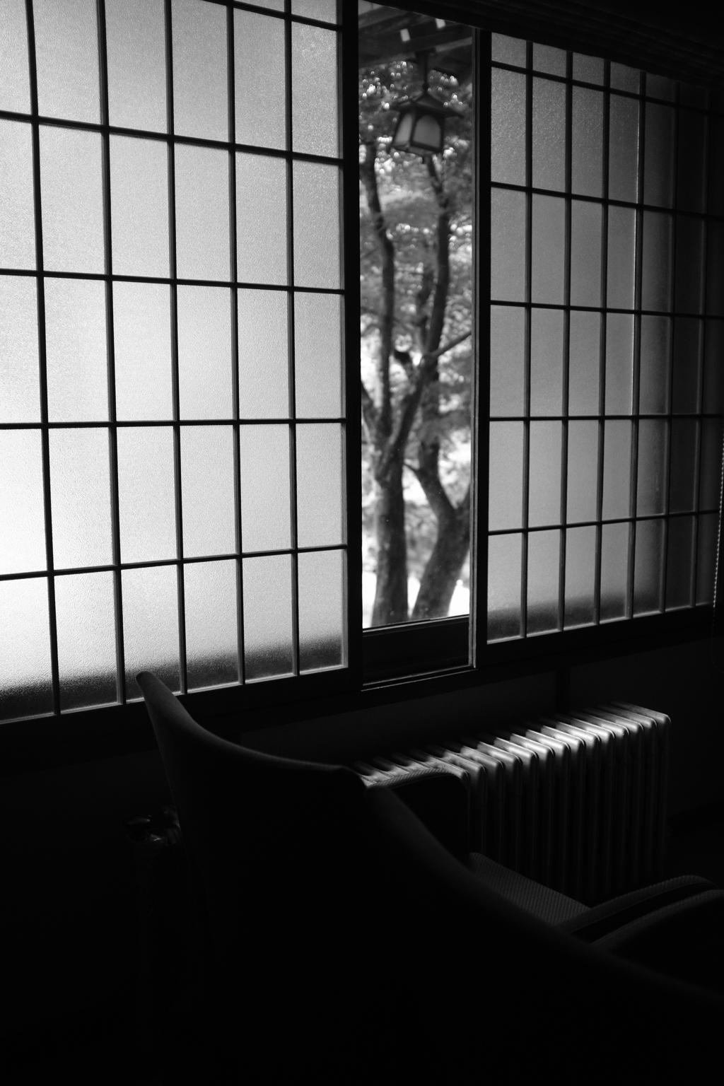 朝の光