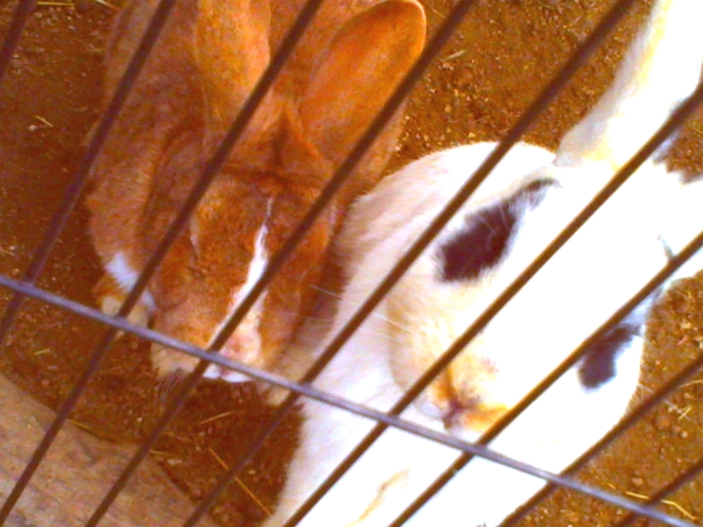PICT0555