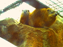 PICT0412