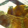PICT0412