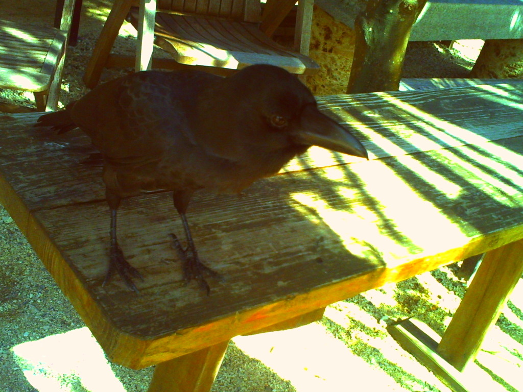 PICT0435