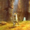 PICT0398