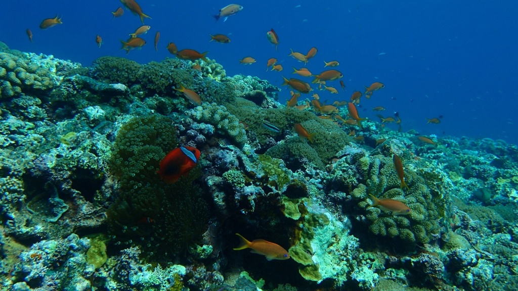 image_original (21)