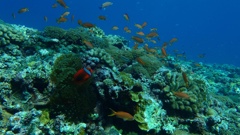 image_original (21)