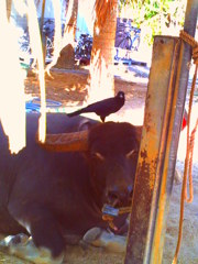 PICT0425