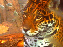 PICT0449