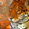 PICT0449