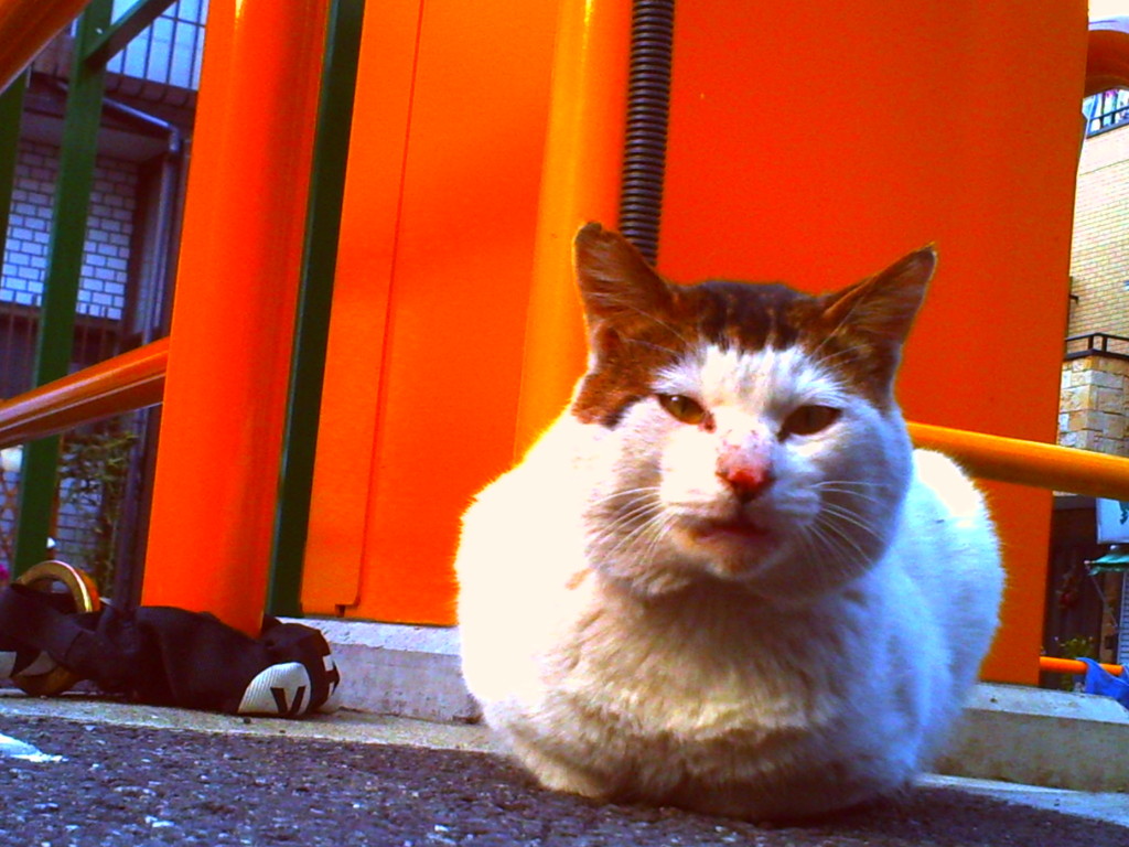 PICT0002