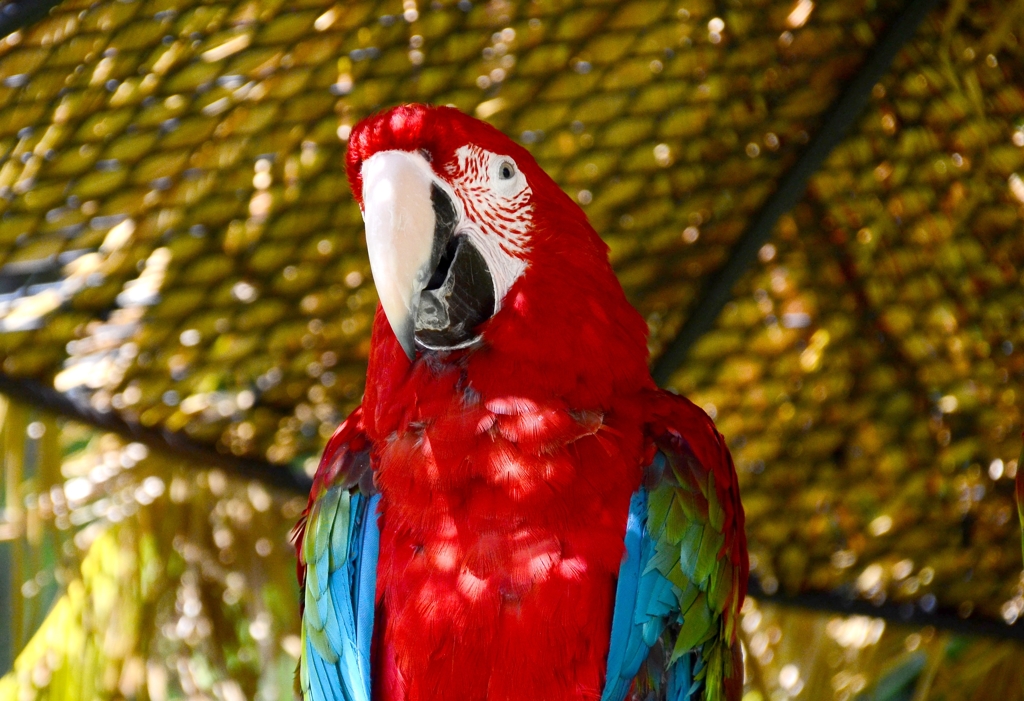 DSC_1433