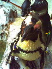 PICT0658