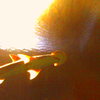 PICT0629