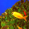 PICT0622