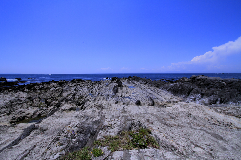 初夏の荒崎003