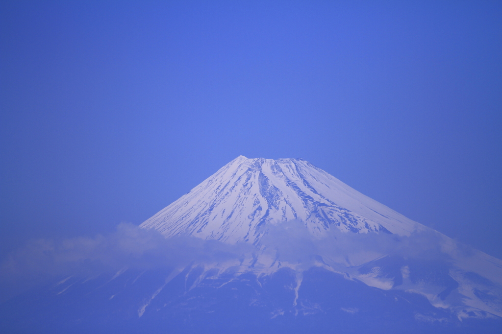達磨山山頂より富士を望む