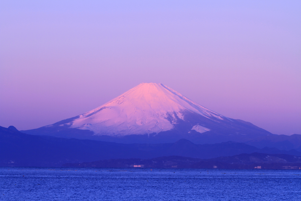 今年の初富士005