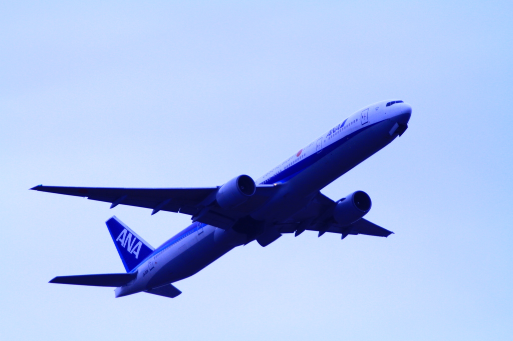 初の飛行機写真003